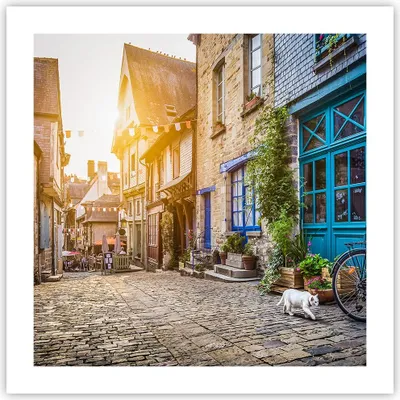 Produktbild von Poster - Poster ohne Rahmen - stadt straße katze - 50x50 cm - Wand Bild - Wanddeko - Wandbilder - Kunstposter - Wandposter - Bilder - Kunstdruck - Wanddekoration - Wandbild - P2XAC50x50-3711