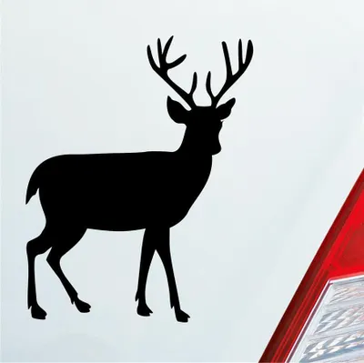 Produktbild von Auto Aufkleber Hirsch Reh Bock Deer Wild Jagd Wald Jäger KFZ Car 9,5x12 cm Schwarz Matt Sticker Heckscheibenaufkleber