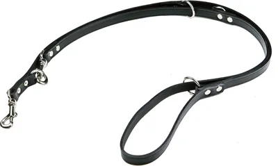 Obrázek produktu pro VODÍTKO PRO VÝCVIK PSŮ  18 x 2150 mm