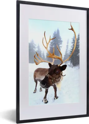 Produktbild von MuchoWow® Gerahmtes Poster Ein Rentier im Schnee 40x60 cm - Poster mit Schwarzem Bilderrahmen Wandposter Rahmen Foto Bilder - Poster in Rahmen