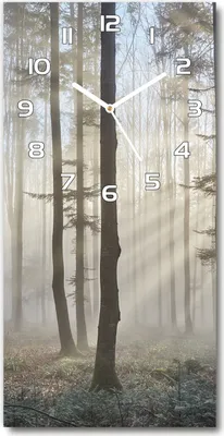 Produktbild von Wanduhr aus Glas – 30x60 cm - Glasbild - Glasuhr - Gehärtetes Glas -Nebel im Wald
