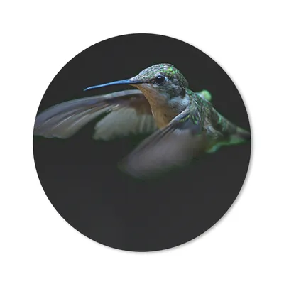 Produktbild von MuchoWow® Mauspad Mousepad Kolibri - Federn - Schwarz 50x50 cm - Mousepads - Maus Mat - Pad - Mausunterlage - Vinyl