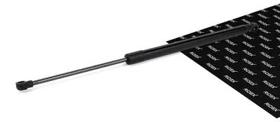 Produktbild von RIDEX 219G0668 Gasfeder Heckklappendämpfer für NISSAN Qashqai / Qashqai +2 I (J10, NJ10) 502mm