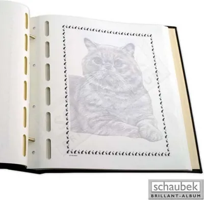 Produktbild von Schaubek Blankoblätter Katzen - Paket zu 20 Blatt