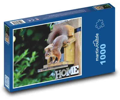Obrázok produktu pre Puzzle 1000 Veverička na kŕmidle - martinpuzzle