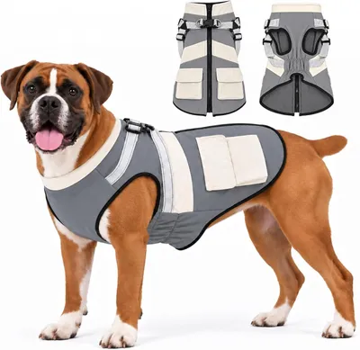 Imagen del producto de Chaqueta impermeable y cortavientos para perros, talla XXL, ideal para días fríos
