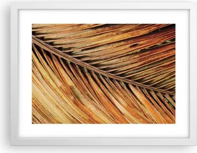 Produktbild von Gerahmtes Poster - Weißer Rahmen - Orange Blatt Tropisch - 40x30 cm - Wand Bild - Wanddeko - Wandbilder - Kunstposter - Wandposter - Bilderrahmen - Bilder - Kunstdruck - P2WAA40x30-4876