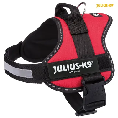 Produktbild von Julius-K9® IDC Powergeschirr®, M / 0: 58–76 cm / 40 mm, rot