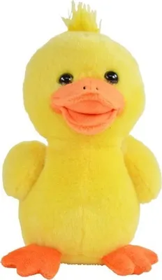 A stuffed toy duck on a white background.