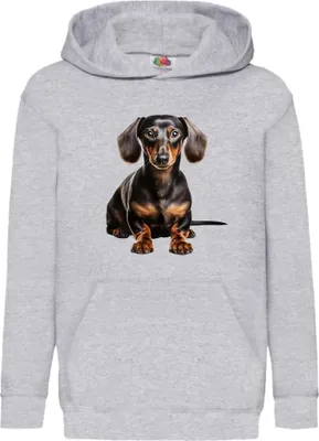 Obrázok produktu pre Detská Mikina S Kapucňou Dogs Breeds Dachshund Dog Breed 008, 9-11 Jahr - 140 / Heather šedá
