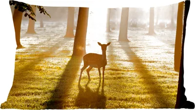 Produktbild von MuchoWow® Zierkissen Sofakissen Wohnzimmer Dekokissen 50x30 cm Hirsche - Sonne - Bäume - Wohnzimmerdekoration - Polster mit Photo