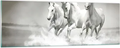Produktbild von Bilder auf glas - Bauernhof pferde galopp freiheit - 90x30cm - Glasbilder - Wandbilder - Kunstdruck - zum Aufhängen bereit - Wanddekoration aus Glas - Glas Bilder - Wandbild auf Glas - GAB90x30-2389
