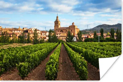 Produktbild von MuchoWow® Poster Weinberg vor einem Schloss 90x60 cm - Schlafzimmer