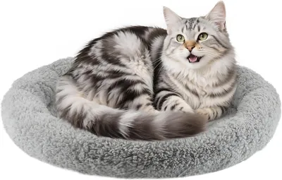 Immagine prodotto di Cuccia per gatti, cuscino rotondo per animali domestici, diametro 50 cm, antiscivolo, lavabile, grigio, per gatti