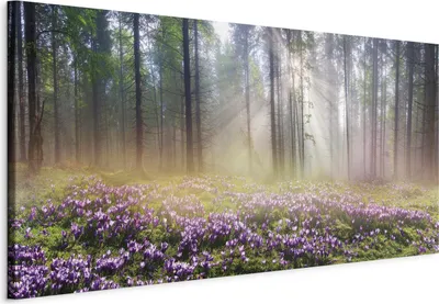 Produktbild von Vliesstoff Leinwandbild - Purple Meadow (1 Part) Wide 120x60 cm Landschaften c-B-0373-b-a