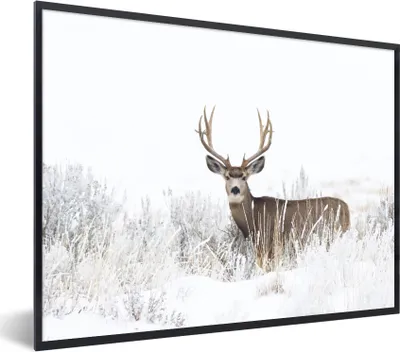 Produktbild von MuchoWow® Gerahmtes Poster Hirsche - Winter - Schnee - Tiere - Jahreszeiten - Weiß 80x60 cm - Poster mit Schwarzem Bilderrahmen Wandposter Rahmen Foto Bilder - Schwarzem - Mit Gestell
