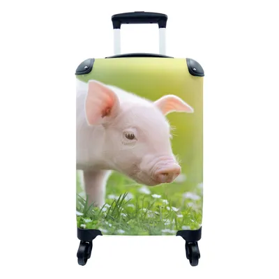 Produktbild von MuchoWow® Koffer Handgepäck Trolley Rollkoffer Kleine Reisekoffer mit 4 Rollen - Tiere - Ferkel - Schwein - Cabin Size < 55x40x23 cm & 55x40x20 cm - Fotokoffer - Kabinenkoffer - Boardgepäck - Reise-Box - Reisekoffer - Reisegepäck - Koffer mit Bild - Trolley für Kinder
