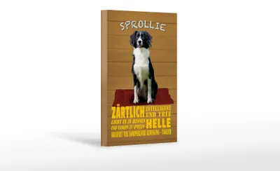 Produktbild von Holzschild Spruch 12x18cm Sprollie Hund zärtlich und treu