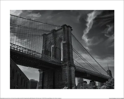 Produktbild von Howard Shooter - "USA New York Brooklyn Bridge 2" bedruckt PM13048 (60 cm x 80 cm) (Schwarz/Weiß)