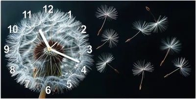 Produktbild von Wanduhr aus Glas mit Motiv Pusteblume im Wind- 60 x 30 cm - inkl. Aufhängesystem
