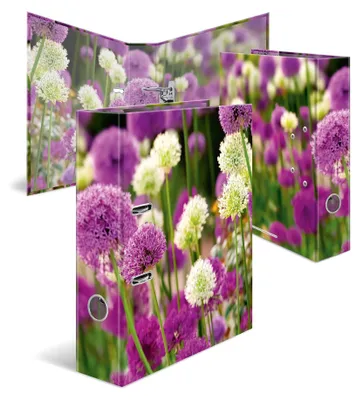 Produktbild von HERMA 19558 Motiv-Ordner A4 Purple Sensation 70 mm