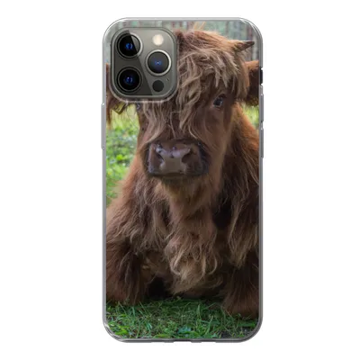 Produktbild von MuchoWow® Handyhülle Schutzhülle Hülle für iPhone 12 Pro Schottischer Highlander - Kröte - Tiere Silikon Softcase Handy Hülle - Abdeckung