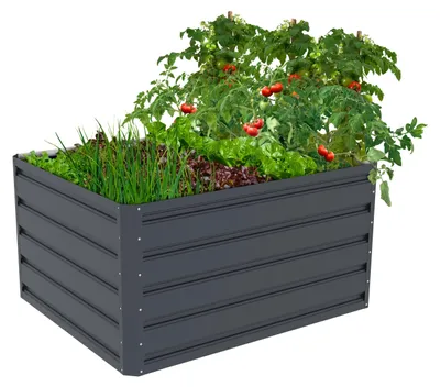 Obrázek produktu pro Vyvýšený záhon Daisy 100 x 80 x 52 cm
