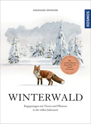 Produktbild von Winterwald