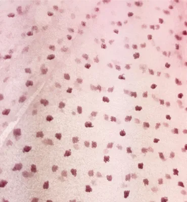 Produktbild von Tüll mit Punkten RUNA Rosa 0,5 m, Uni Meterware, 30 g/m²