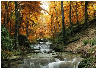 Produktbild von Wallario Premium Glasbild, freischwebende Optik, kräftige Farben, Größe 100 x 70 cm Motiv Kleiner Bach über Steine im Herbstwald