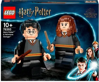 Produktbild von LEGO 76393 Harry Potter Harry Potter & Hermine Granger Figuren, Zimmer-Deko und Fanartikel