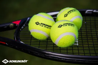 Immagine prodotto di SCHILDKRÖT 970048 SCHILDKRÖT Tennisbälle, 3er Set, gelb