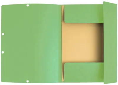 Productafbeelding van EXACOMPTA 55513E EXACOMPTA Registermap, DIN A4, karton, lichtgroen