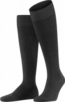 Produktbild von FALKE Energizing Wool Herren