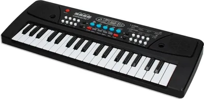 Obrázok produktu pre Organ REIG 37 klávesov + mikrofón