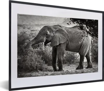 Produktbild von MuchoWow® MuchoWow® Gerahmtes Poster Elefant - Tiere - Bäume - Schwarz - Weiß 60x40 cm - Poster mit zchwarzem Bilderrahmen - Schlafzimmer - Plakat in Rahmen - Drucken
