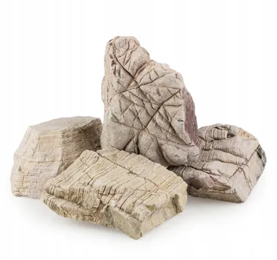 Zdjęcie produktu dla Kamienie dekoracyjne do akwarium Layer Rock, beżowe, 10 kg, kamień naturalny