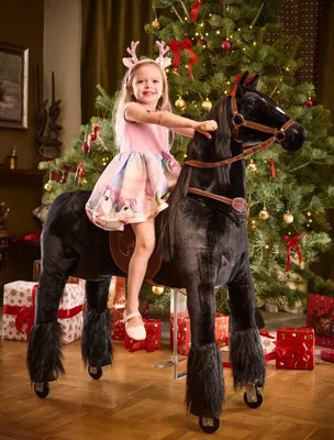 Immagine prodotto di Cavallo meccanico Ponnie Ebony XL PROFI