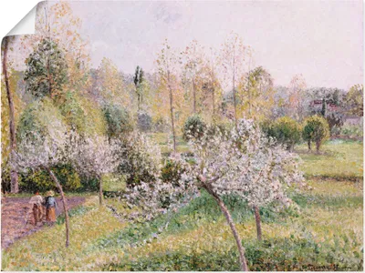 Produktbild von ARTland Poster Blühende Apfelbäume in Eragny. 1895 Größe: 40x30 cm