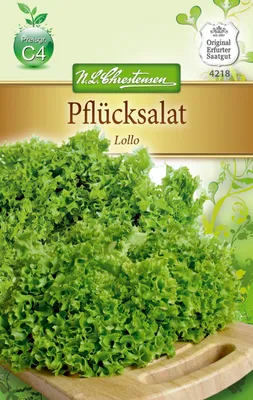 Produktbild von Pflücksalat Lollo | Pflücksalatsamen von N.L. Chrestensen