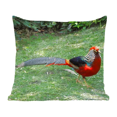 Produktbild von MuchoWow® Zierkissen Sofakissen Wohnzimmer Dekokissen 50x50 cm Fasan - Gras - Pflanzen - Komfort - Sofakissen