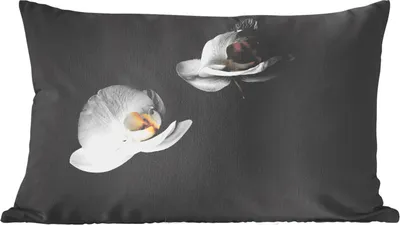 Produktbild von MuchoWow® Zierkissen Sofakissen Wohnzimmer Dekokissen 50x30 cm Orchidee - Blumen - Schwarz - Weiß - Stilleben - Wohnzimmerdekoration - Polster mit Photo