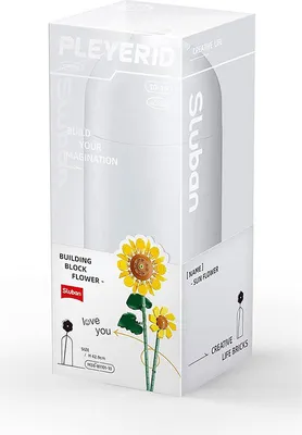 Produktbild von Sluban TOY CONSTRUCTOR 251PCS M38-B1101-10
