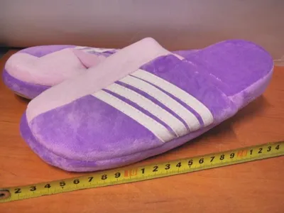 Image de Chaussons pour femmes à élastique SN30581