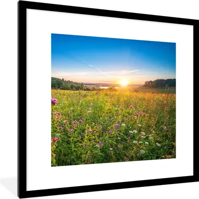 Produktbild von MuchoWow® Gerahmtes Poster Sonne - Gras - Blumen 40x40 cm - Poster mit Schwarzem Bilderrahmen Wandposter Rahmen Foto Bilder - Poster - Plakat im Rahmen
