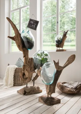 Produktbild von Glasvase mit Deko-Wurzel aus Teak 50 cm