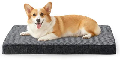 Image de Lit orthopédique pour chien, couleur gris foncé, dimensions 76 x 46 x 9 cm, lavable, antidérapant, pour intérieur