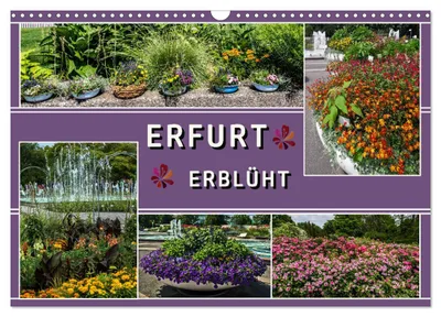 Produktbild von Erfurt erblüht (Wandkalender 2027 DIN A3 quer), CALVENDO Monatskalender