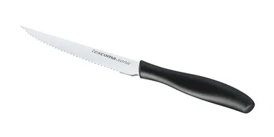 Produktbild von Tescoma Steakmesser SONIC, 12 cm, 6 Stück