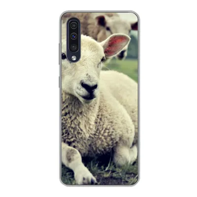 Produktbild von MuchoWow® Handyhülle Schutzhülle Hülle für Samsung Galaxy A30s Schaf - Lamm - Gras Silikon Softcase Handy Hülle - Karteninhaber